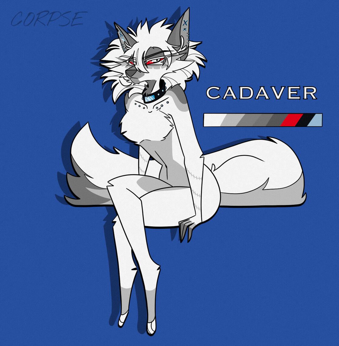 Cadaver - Fullbody